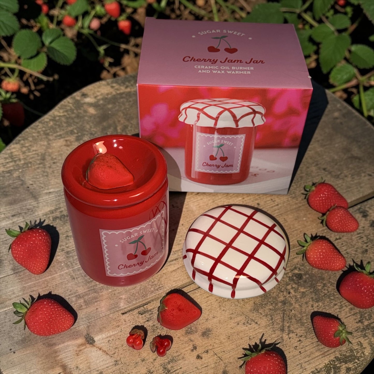 Berrylicious geschenkset waxbrander en waxmelts
