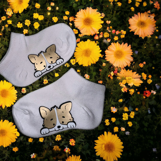 Corgi socks, Size 23-26