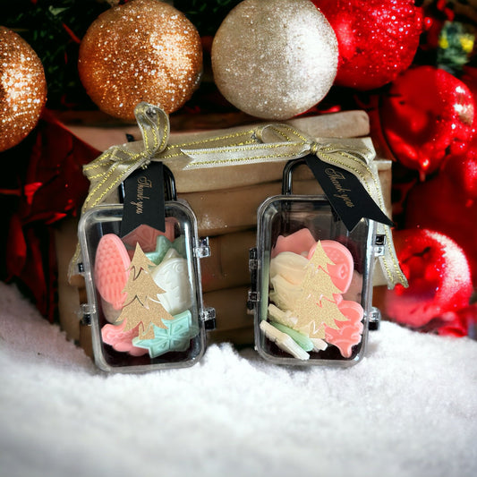 Koffertje met Kerst Wax Melts, Candy Cane